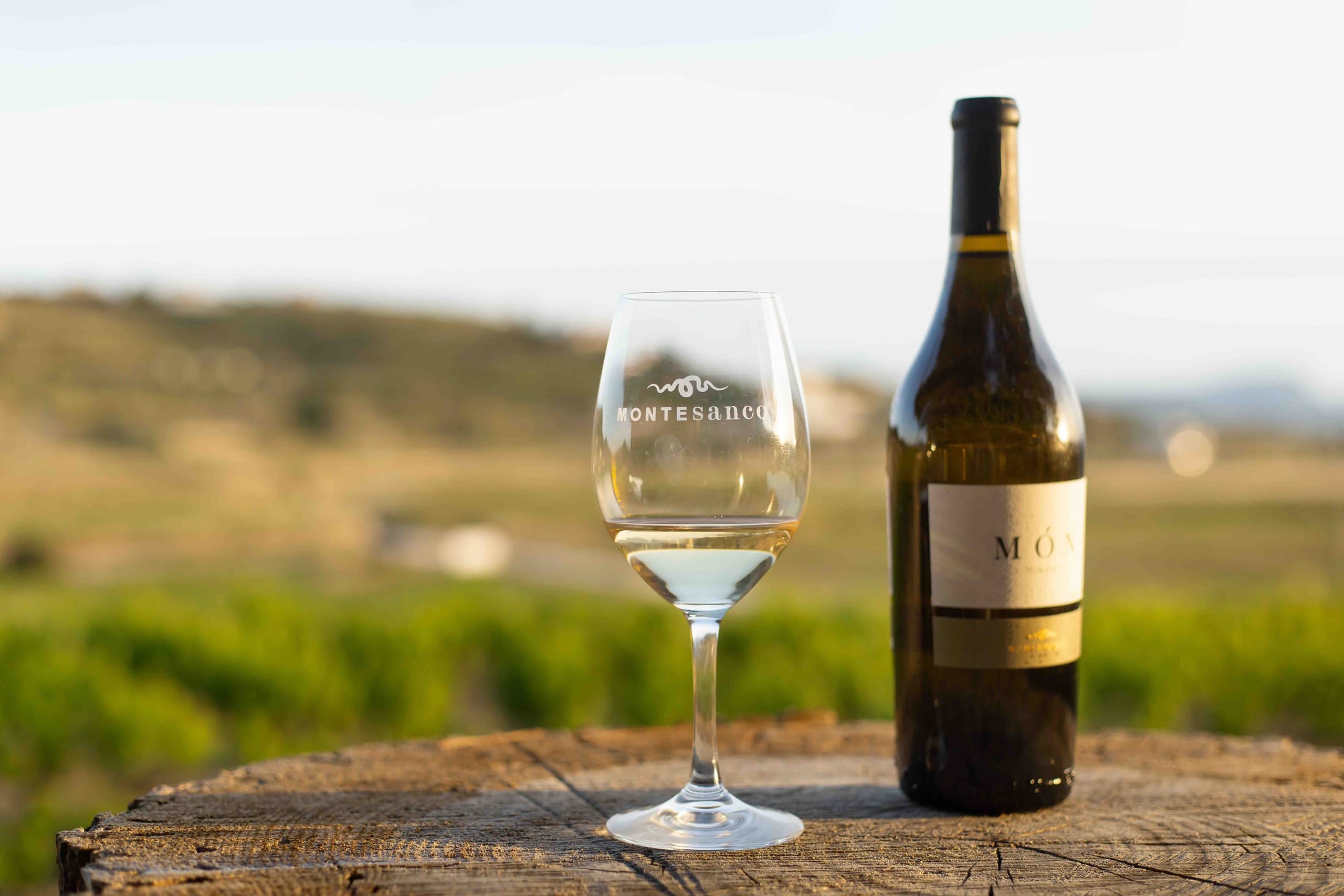 Wine Tasting & Vineyard Tour at Montesanco in Teulada