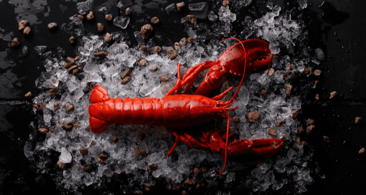 Shell-to-Essence Lobster Trilogy: Hands-On Class with Chef Alain in Berkeley