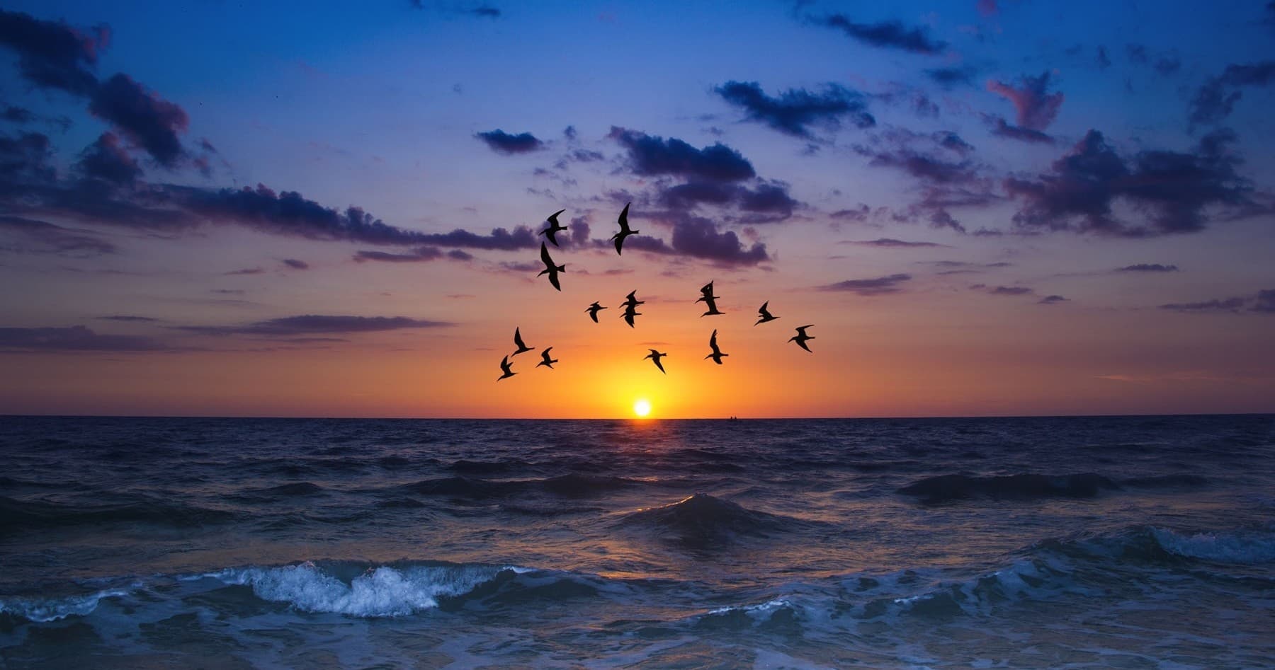 Sunset Cruise with St. Pete Boat Tours in St. Petersburg
