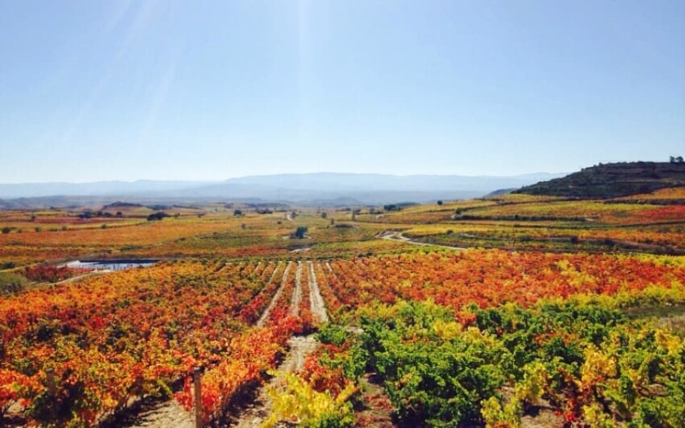 Helicopter & Wine Tasting with Basque Destination in Hondarribia