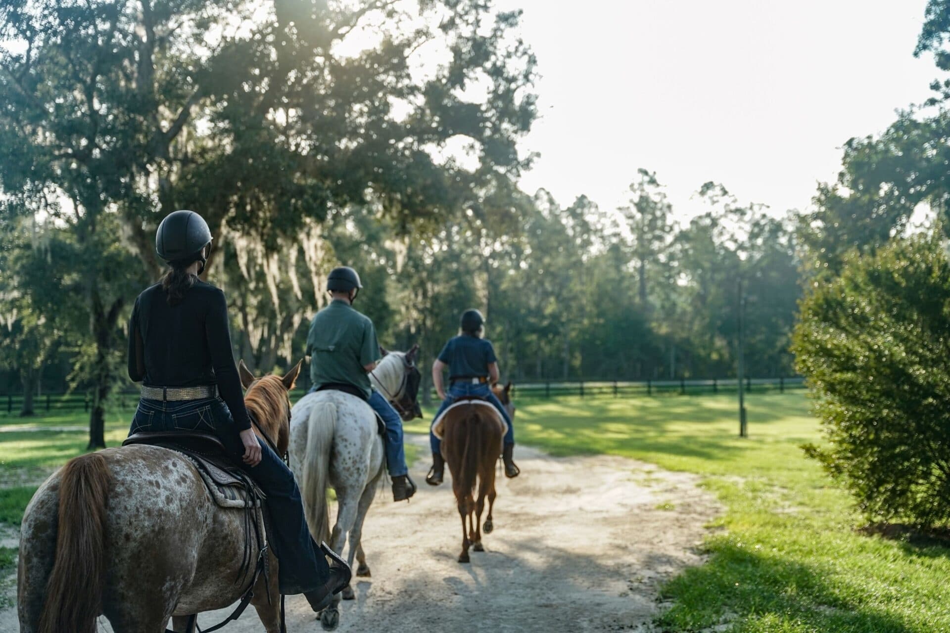Horseback Riding at Black Prong Adventures LLC in Florida