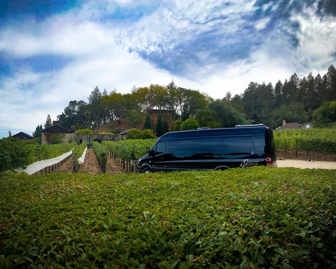 Luxury van parked among vineyard rows with hills and sky
