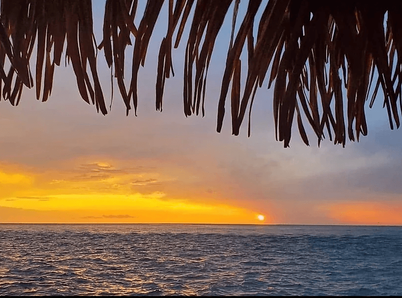 Sunset over open ocean framed by thatched palapa, tropical view