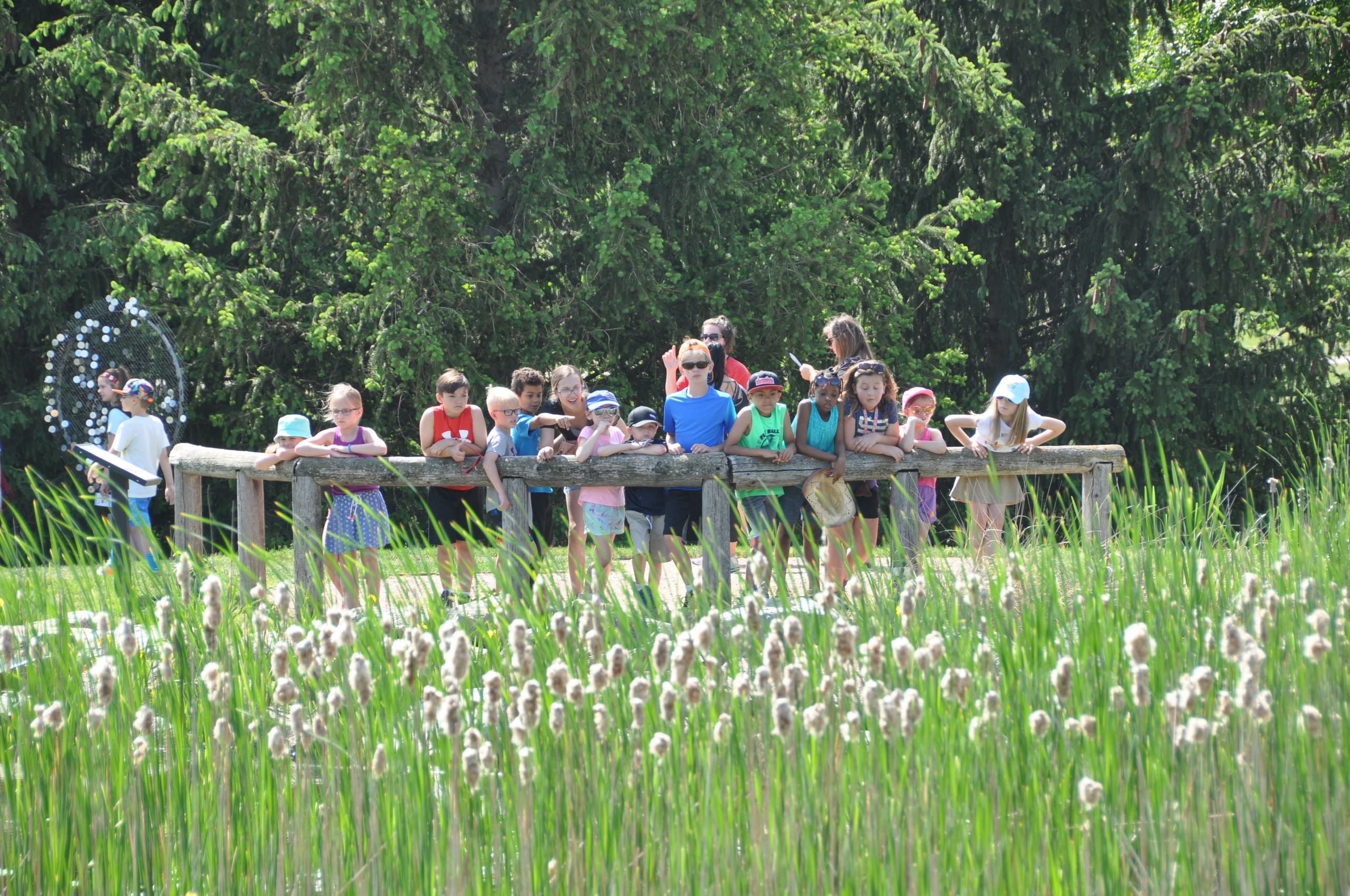 Summer Youth Guided Tours at reimangardens in Ames — Hands-On Pollinator and Terrarium Programs