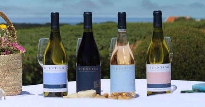 Alentejo Coast Wine Tasting by Farm Experiences & Tours