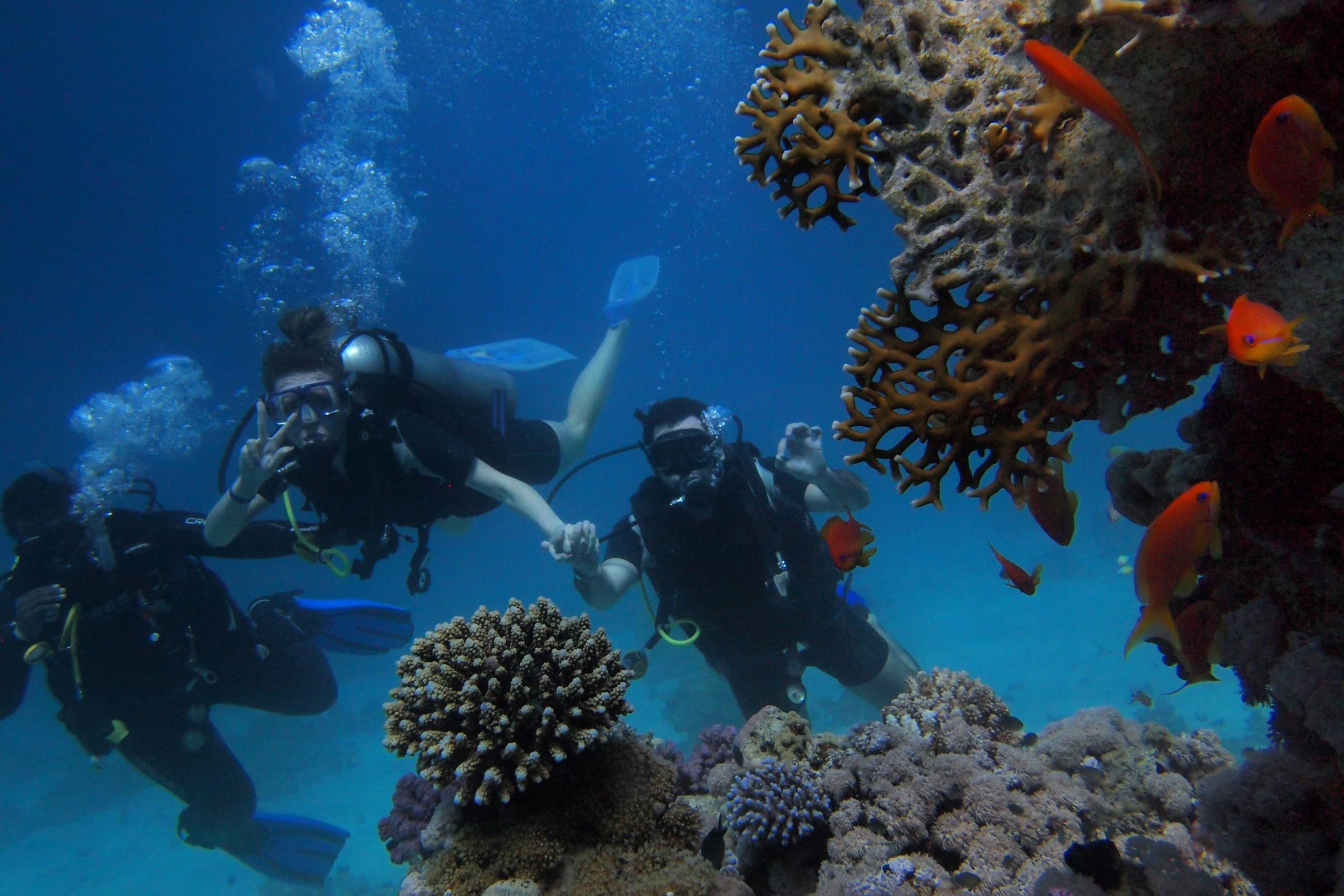 Tarifa Dive Trip: PADI-Guided Dives in the Strait of Gibraltar