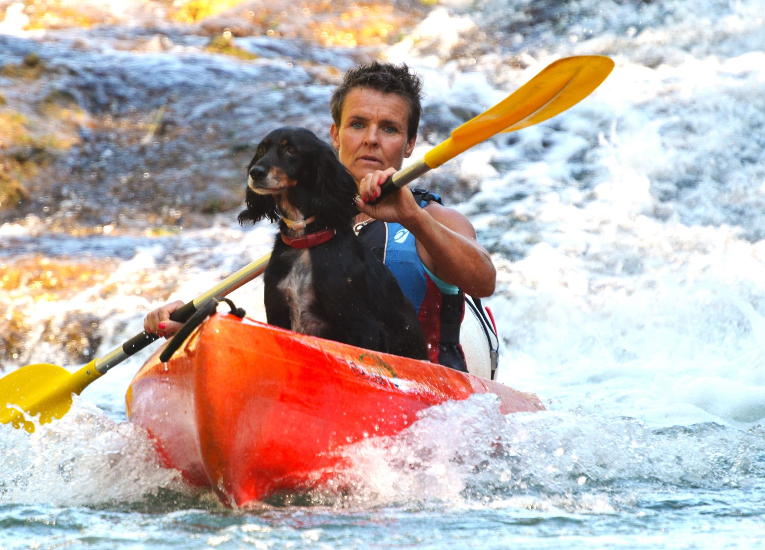 Kayaker and dog paddling through whitewater river rapids