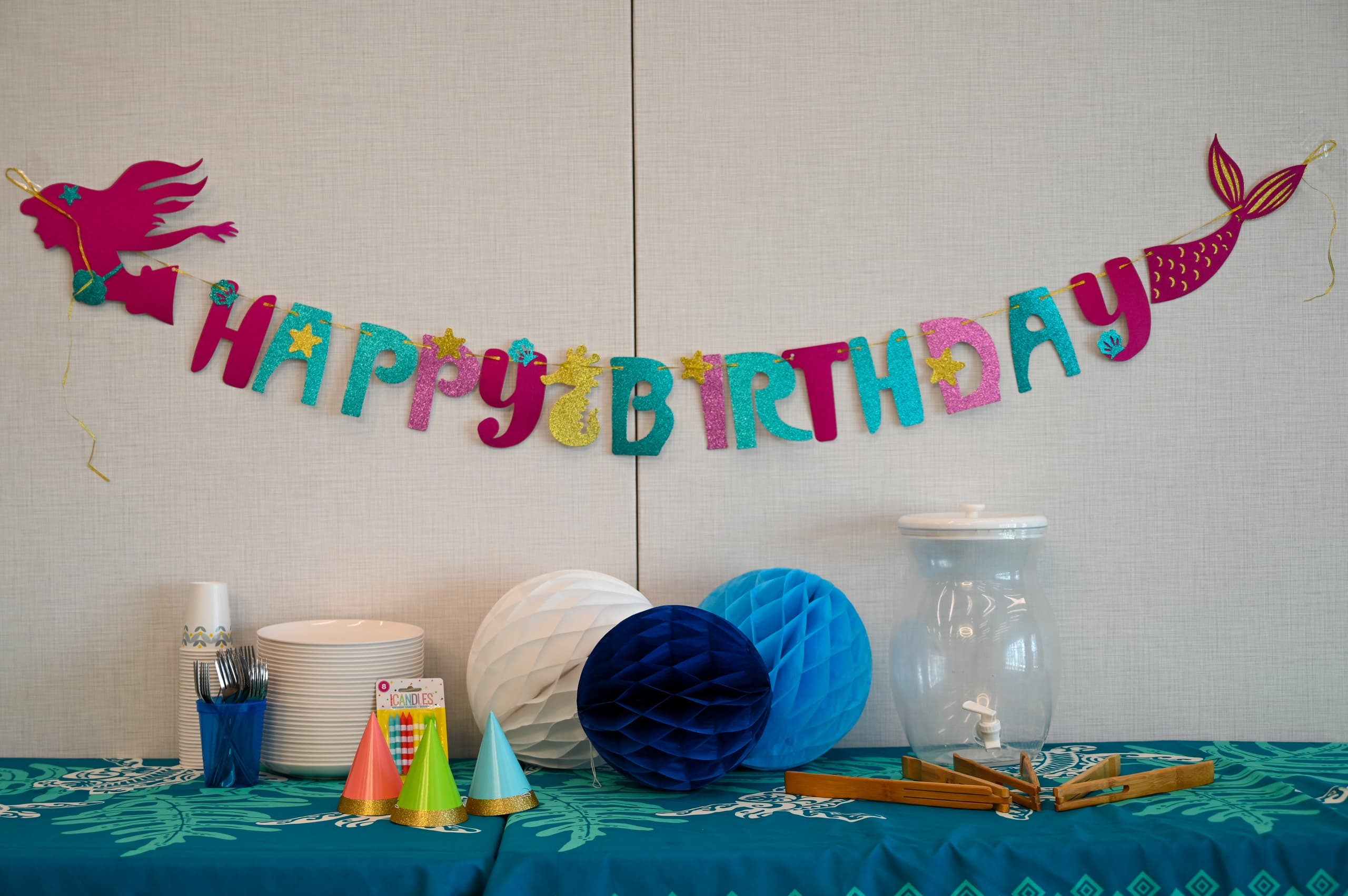 Wildlife & Marine Adventures: Loggerhead Marinelife Center Birthday Celebrations