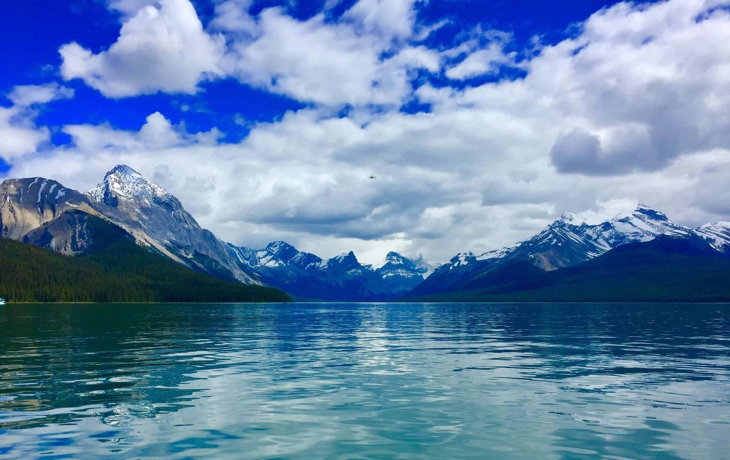 Glacier-Fed Maligne Lake Half-Day Fly Fishing with Currie's Guiding photo 2