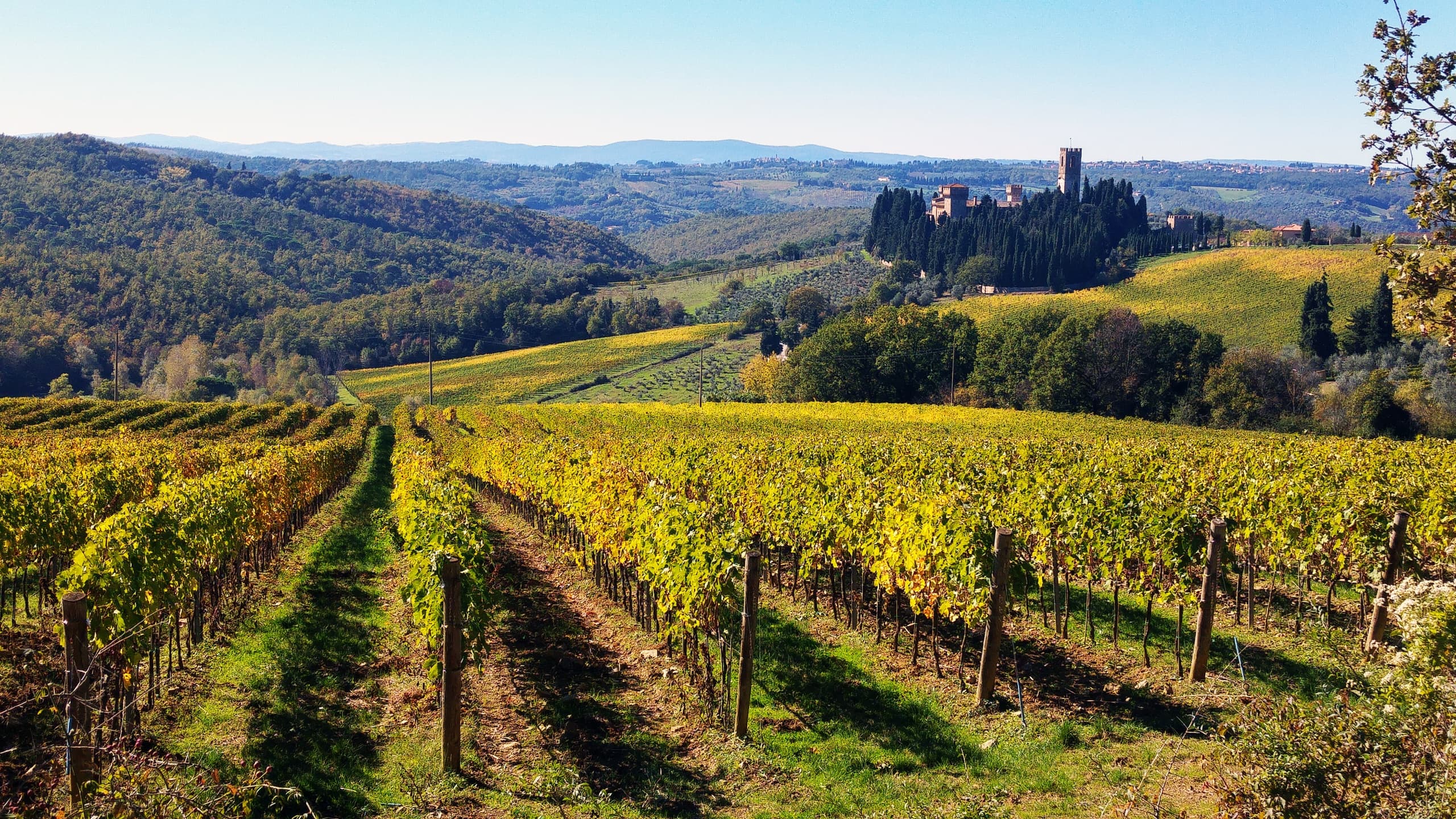 Chianti Classico Wine Tours From Florence: Castles, Villages & Super Tuscans photo 2