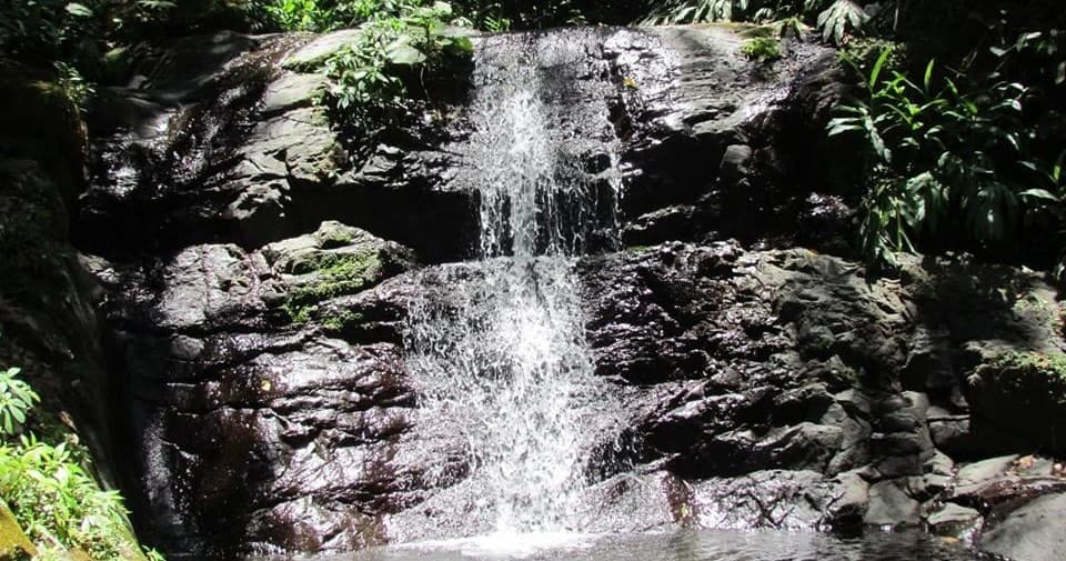 Rocky stream waterfall in tropical forest, adventurous creek hike