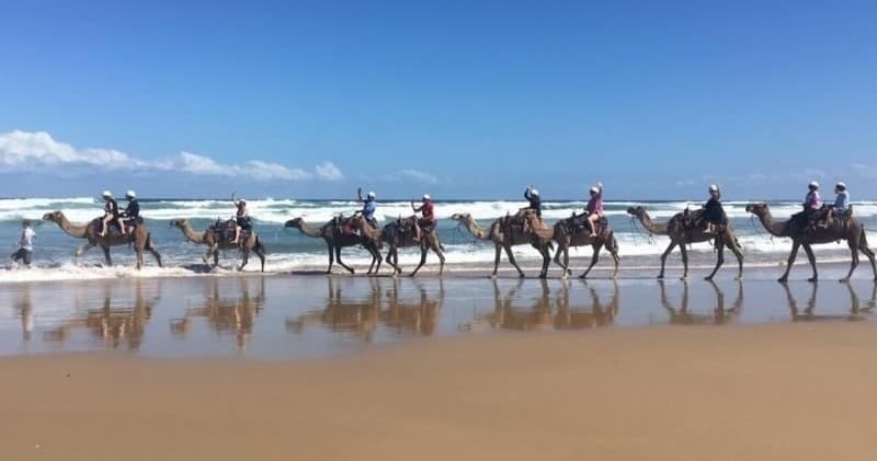 Water-Activities Adventure at Oakfield Ranch Camel Rides