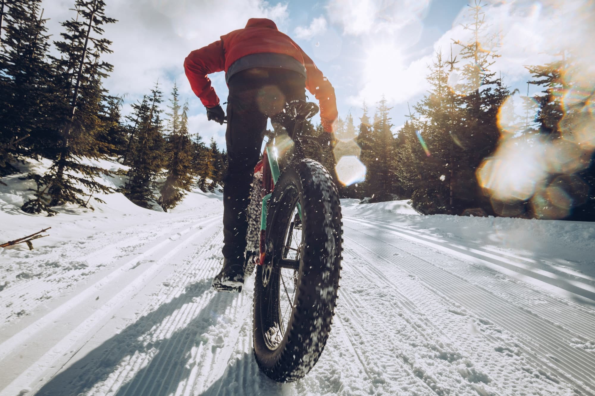 Fat-tire cyclist riding snowy trail through sunlit pine forest