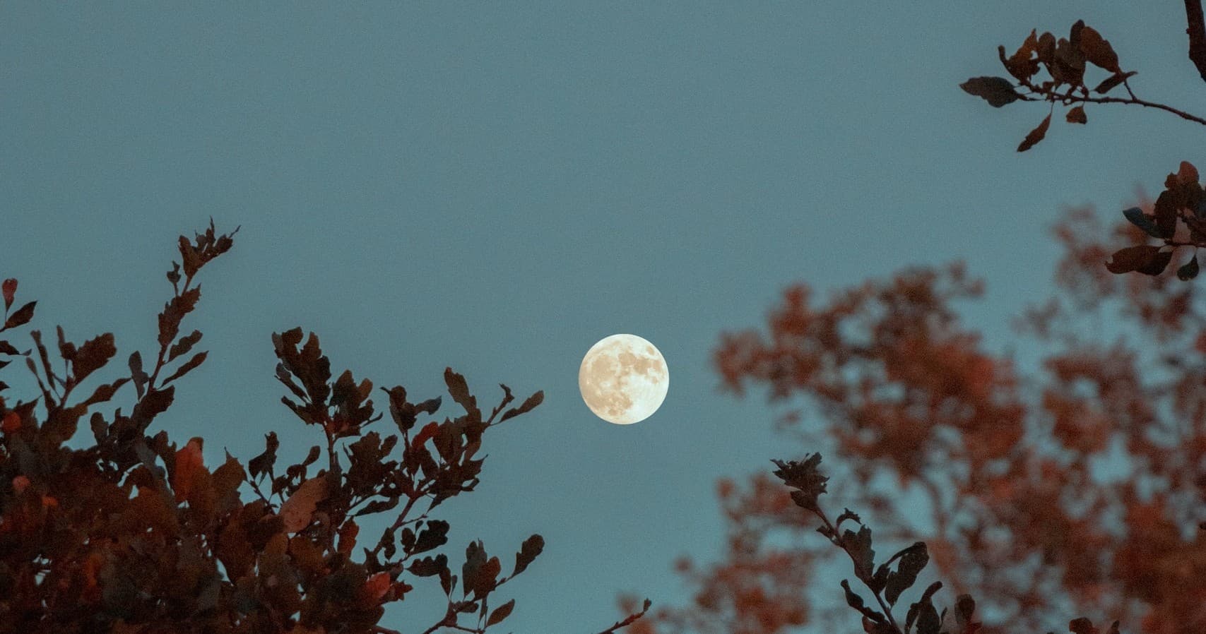 Full Moon Paddle Adventure in Neptune Township, NJ