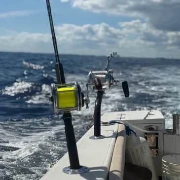 Chase Mahi and Sailfish: Boynton Beach Offshore & Deepwater Fishing Charter