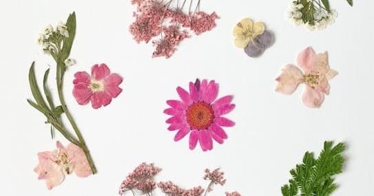 Land Adventures at Cedar Pond Farms: Floral Jewelry Crafting