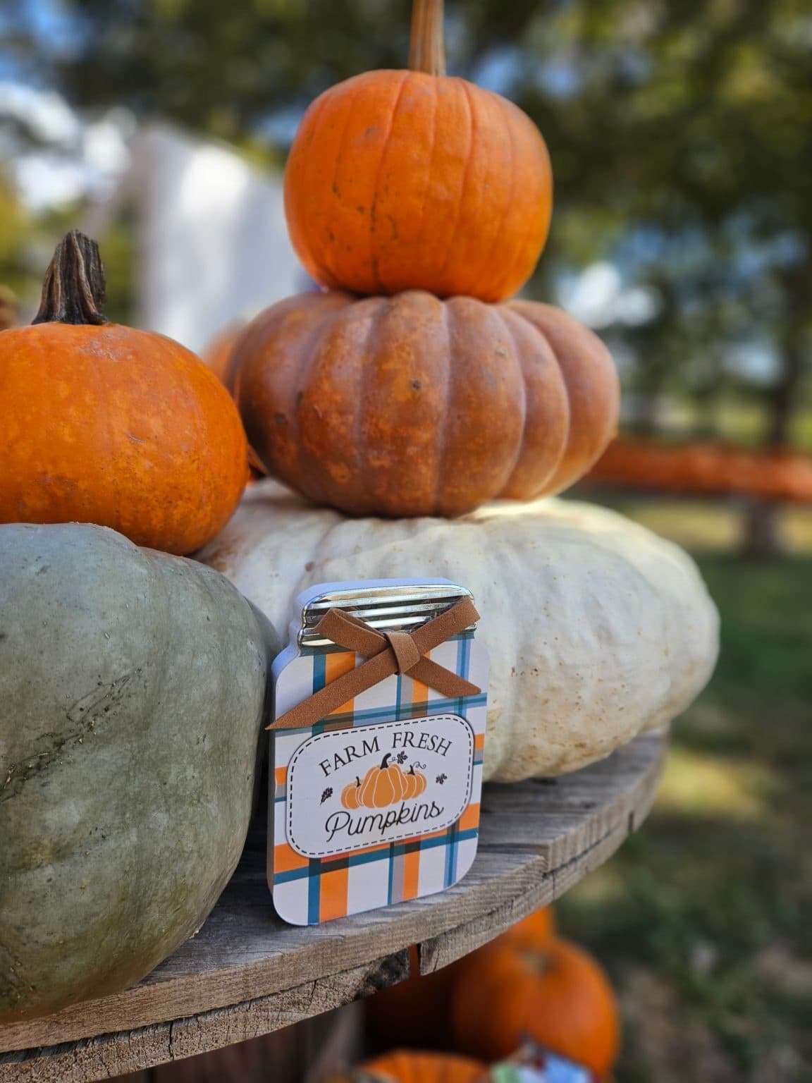 Land Adventures with Cove Creek Farm LLC