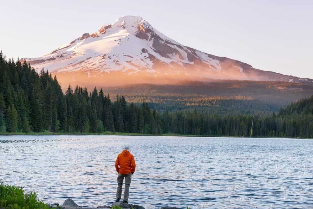 Land Adventures at Mt. Hood with First Nature Tours