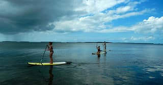 Paddleboarders gliding across reflective coastal waters