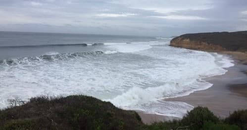 Coastal & Wildlife Adventure with Mark’s Melbourne Private Tours