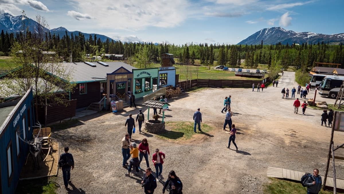 Wild Adventure Yukon Day Tour in Skagway, Alaska