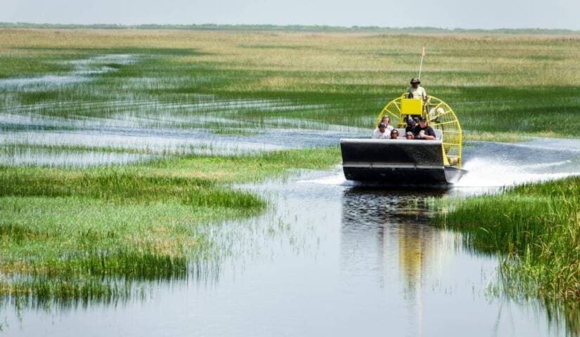Airboat tour skim marsh grasses in Florida Everglades