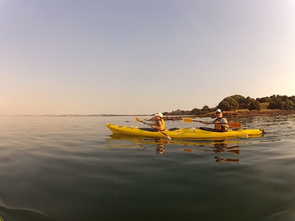 Wildlife & Waterways: Rhyll Wetlands Tour by Pioneer Kayaking