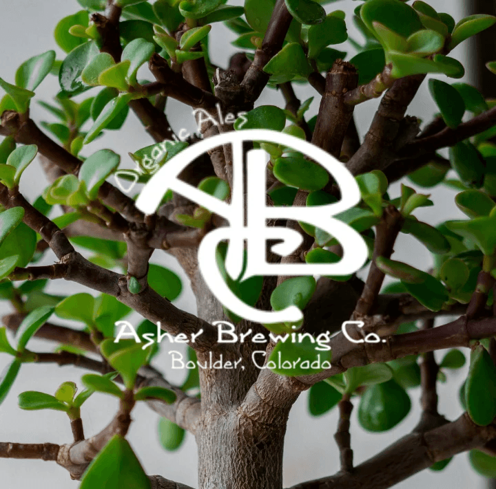 Bonsai Bar at Asher Brewing: Hands-On Bonsai Workshop in Boulder