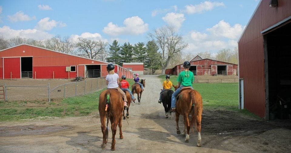 Riders leading horses away from barn on rustic farm lane