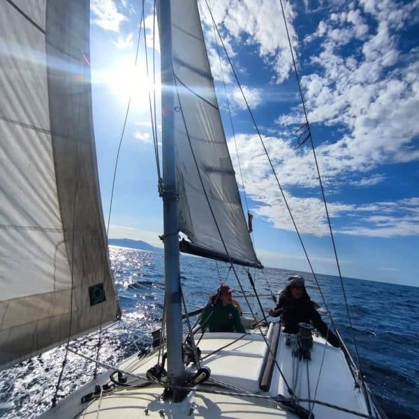 Sailing crew cruising on open ocean under sunny sky and sails