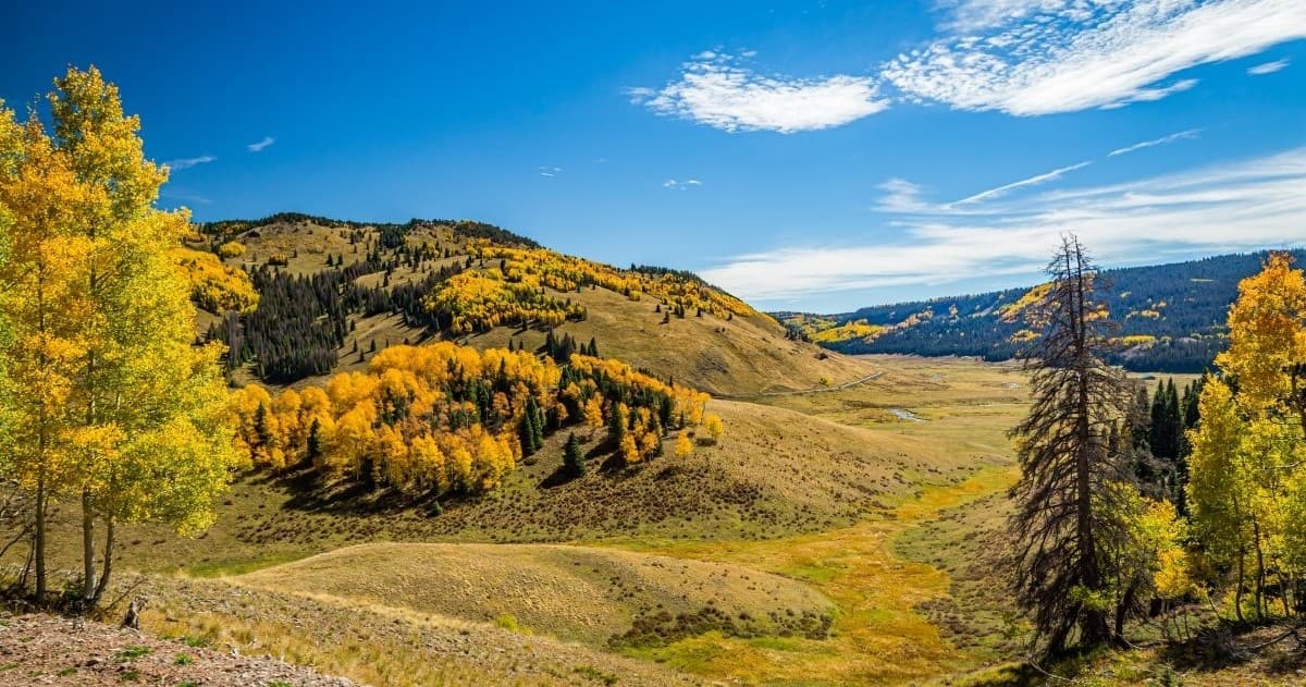 Tusa Mountain Day Ride: High-Altitude Mountain Biking on the Continental Divide