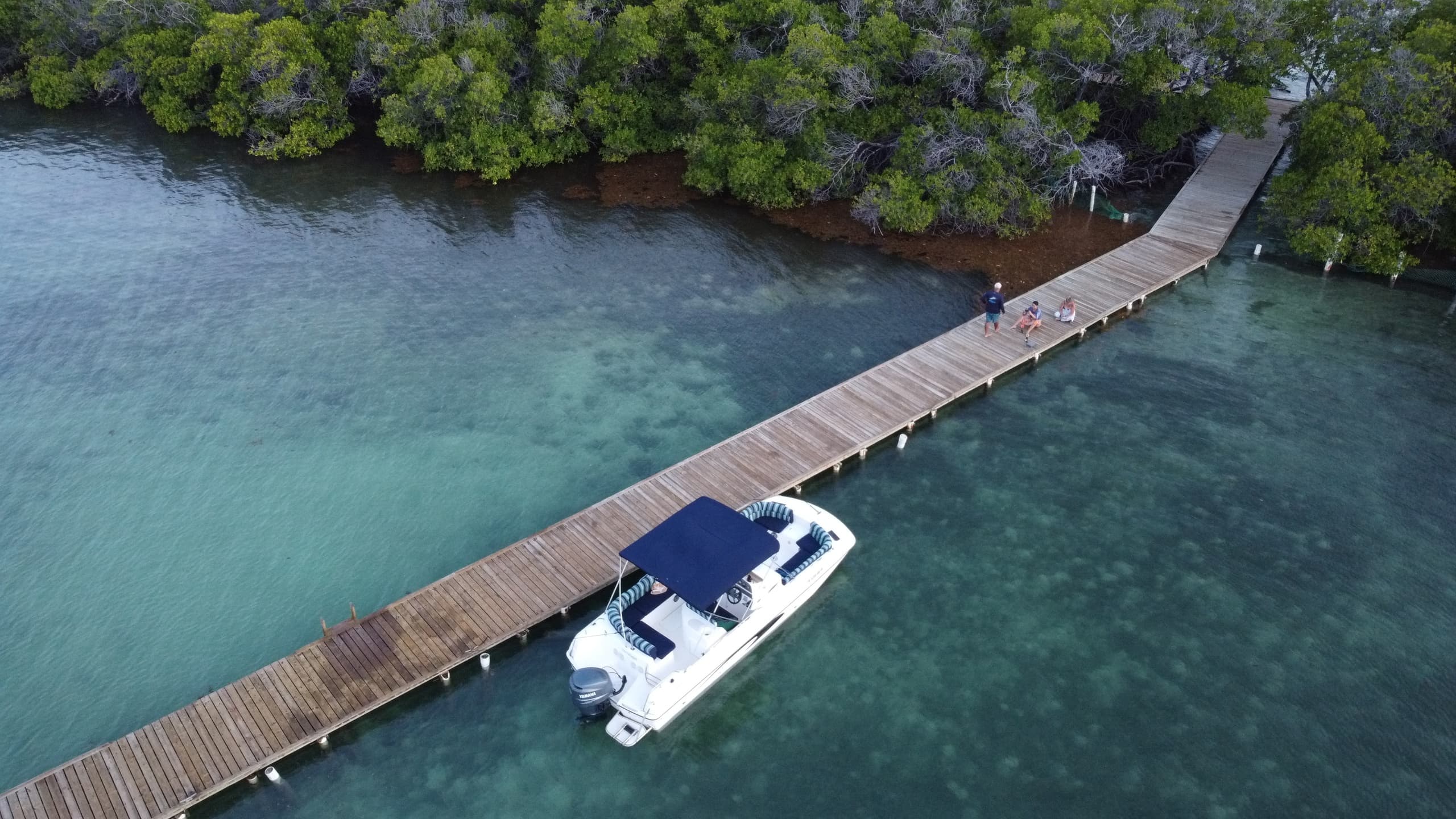Hook'd on Adventure Parguera fleet