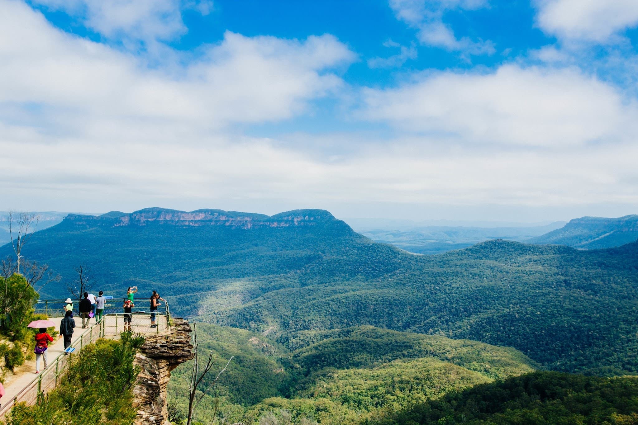 Blue Mountains Wildlife & Views with Dave's Travel Group