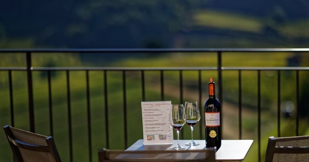 Wine Tasting & Bordeaux Vineyards with Farm Experiences & Tours