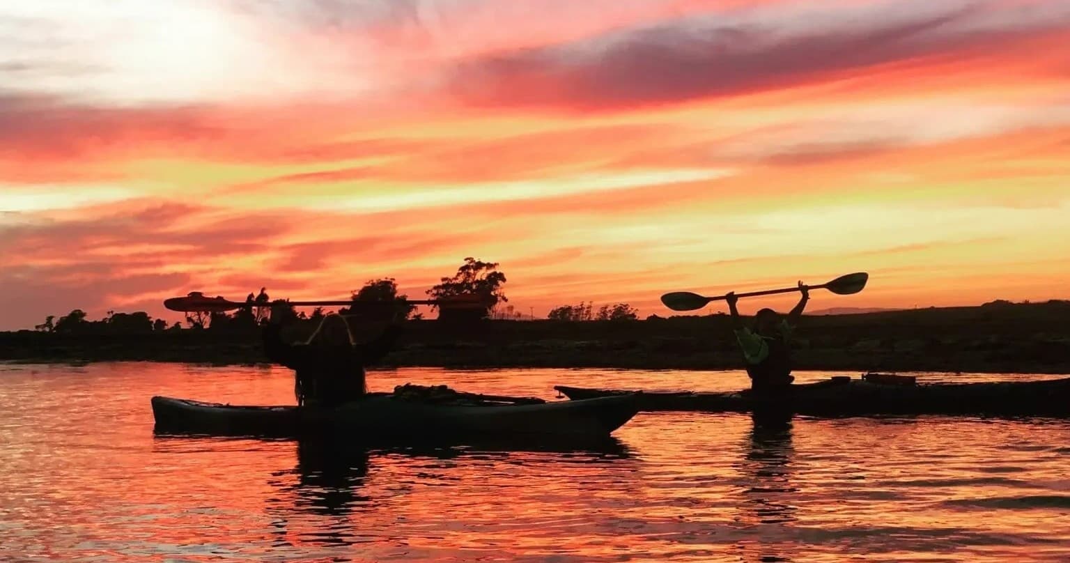 Kayakers silhouetted at sunset on Elkhorn Slough water