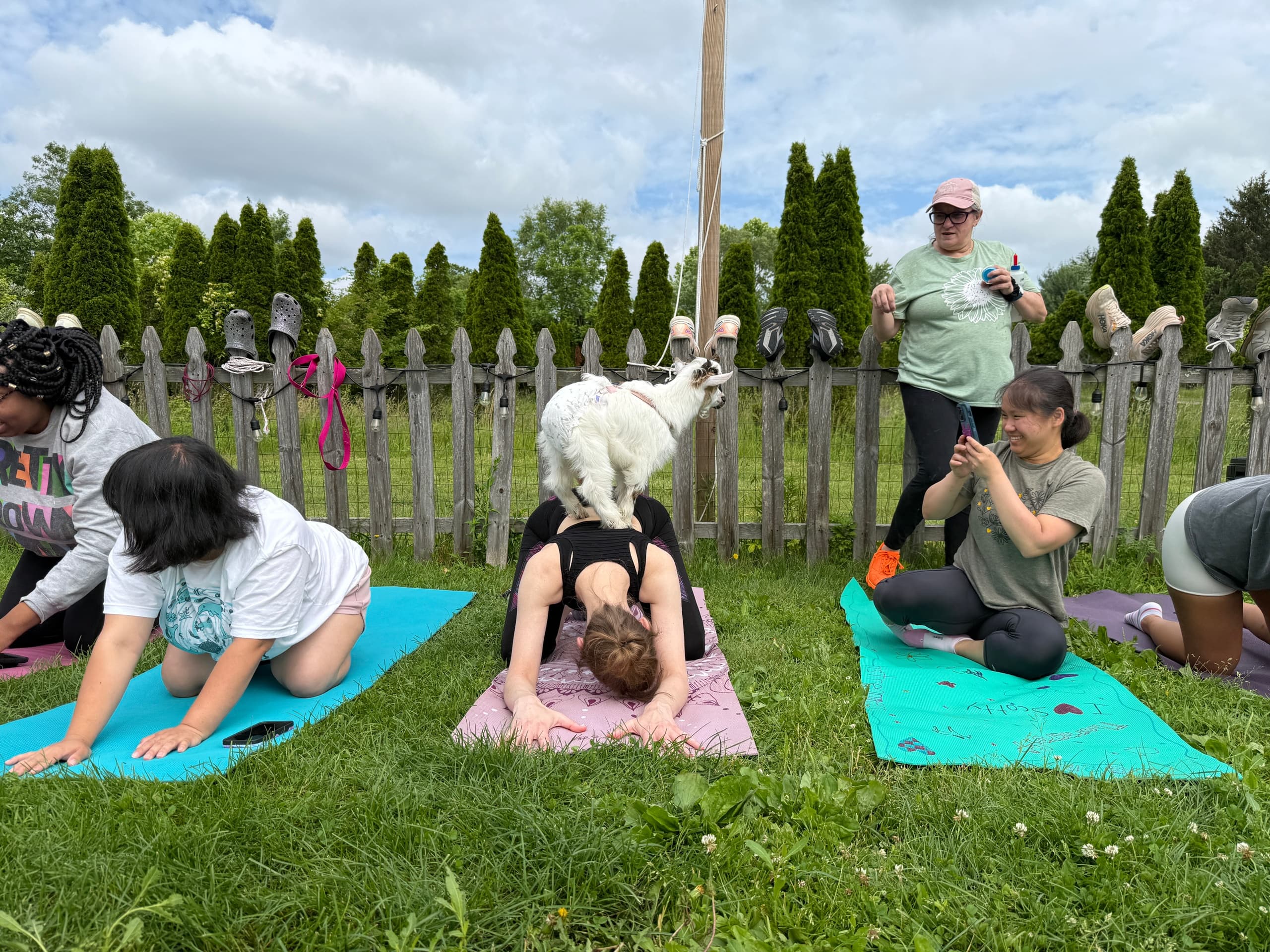 Water Activities & Wine: Bishop Estate Winery Baby Goat Yoga