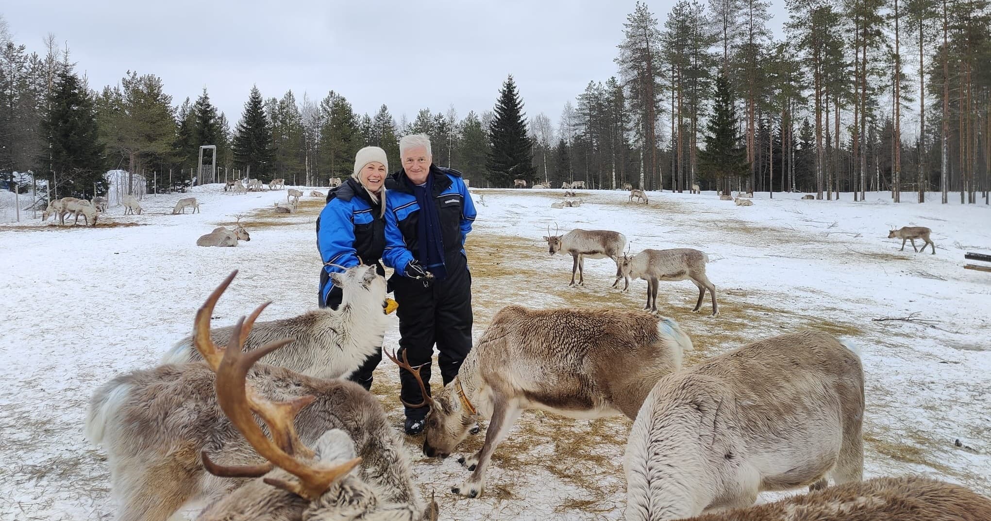 Ukkohalla Reindeer Farm Visit: Hands-On Arctic Experience in Hyrynsalmi photo 3