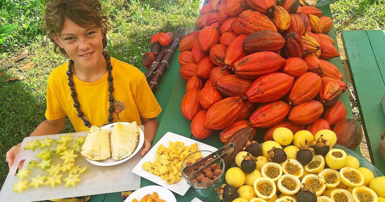 Garden Island Chocolate: Cacao Tour & Tasting in Anahola
