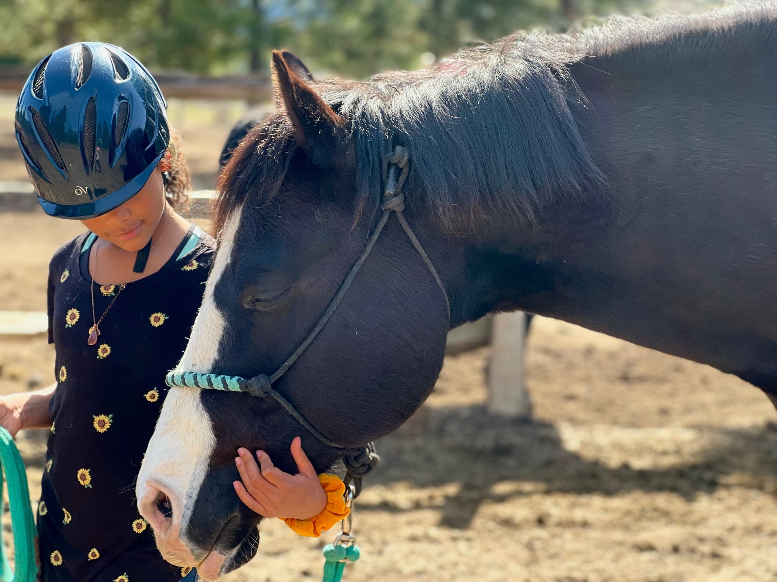 Horseback Riding Adventure at Wild At Heart photo 1