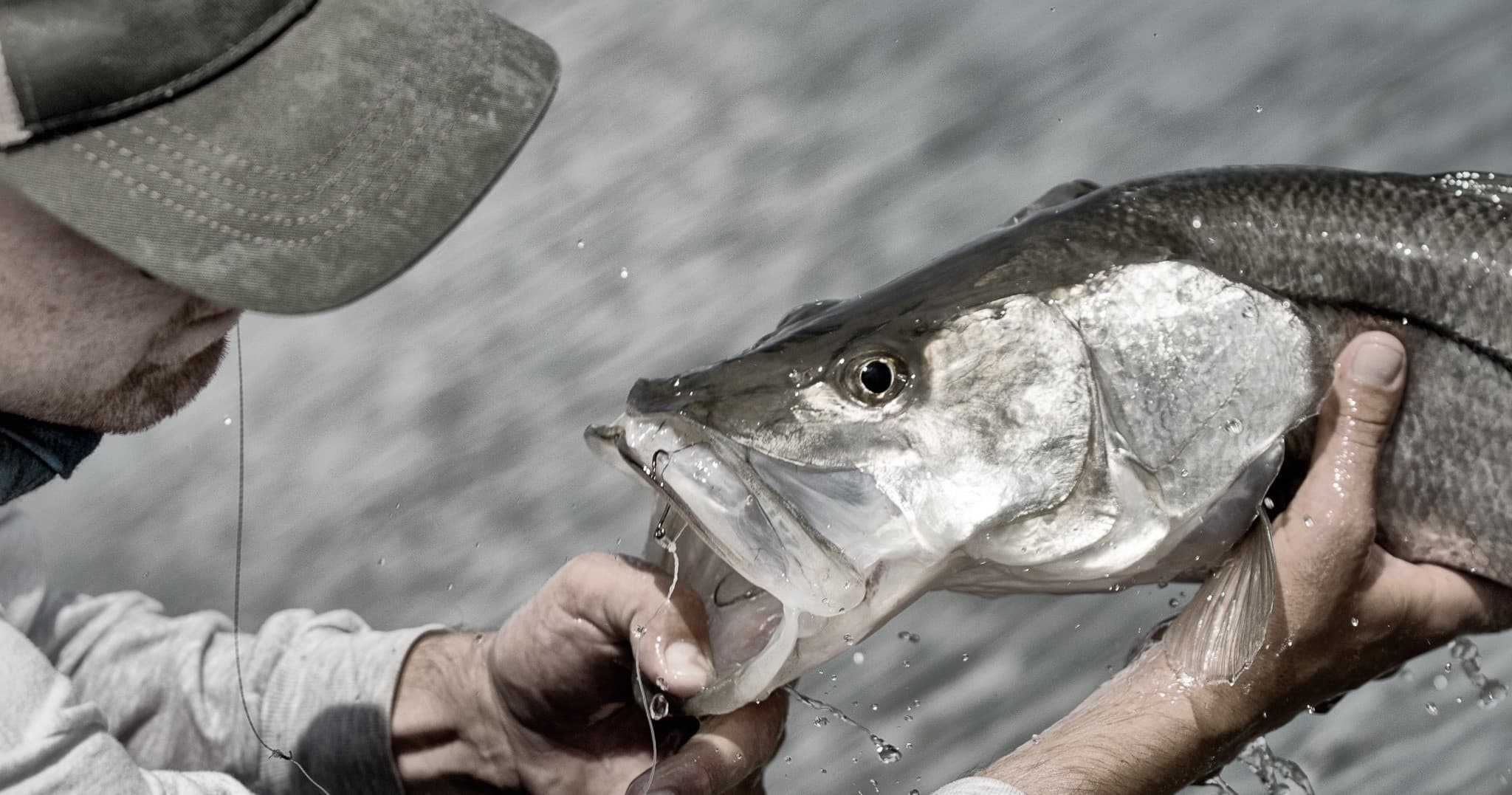 Inshore Fishing with Clearwater Fishing Company LLC in Homosassa