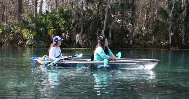 Clear kayak paddlers on spring-fed river with palmetto shoreline