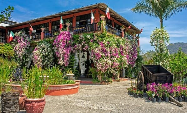 Private Transport to Vallarta Botanical Gardens by Jet's Top Tours