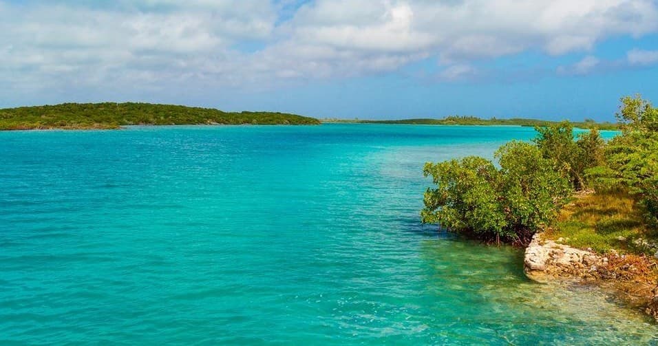 Coastal turquoise bay with mangroves and calm boating