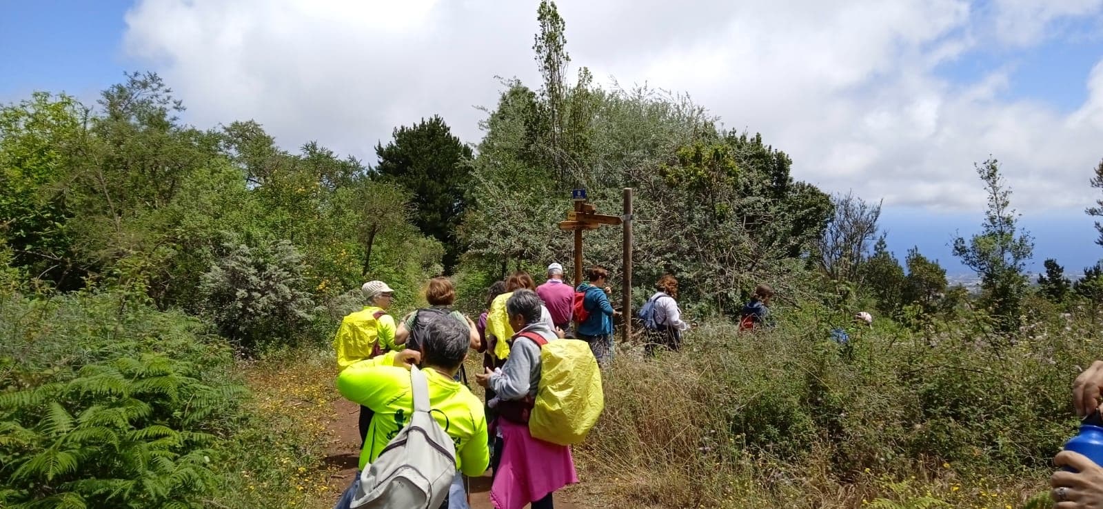 Guided group hiking through highland scrub and open trail