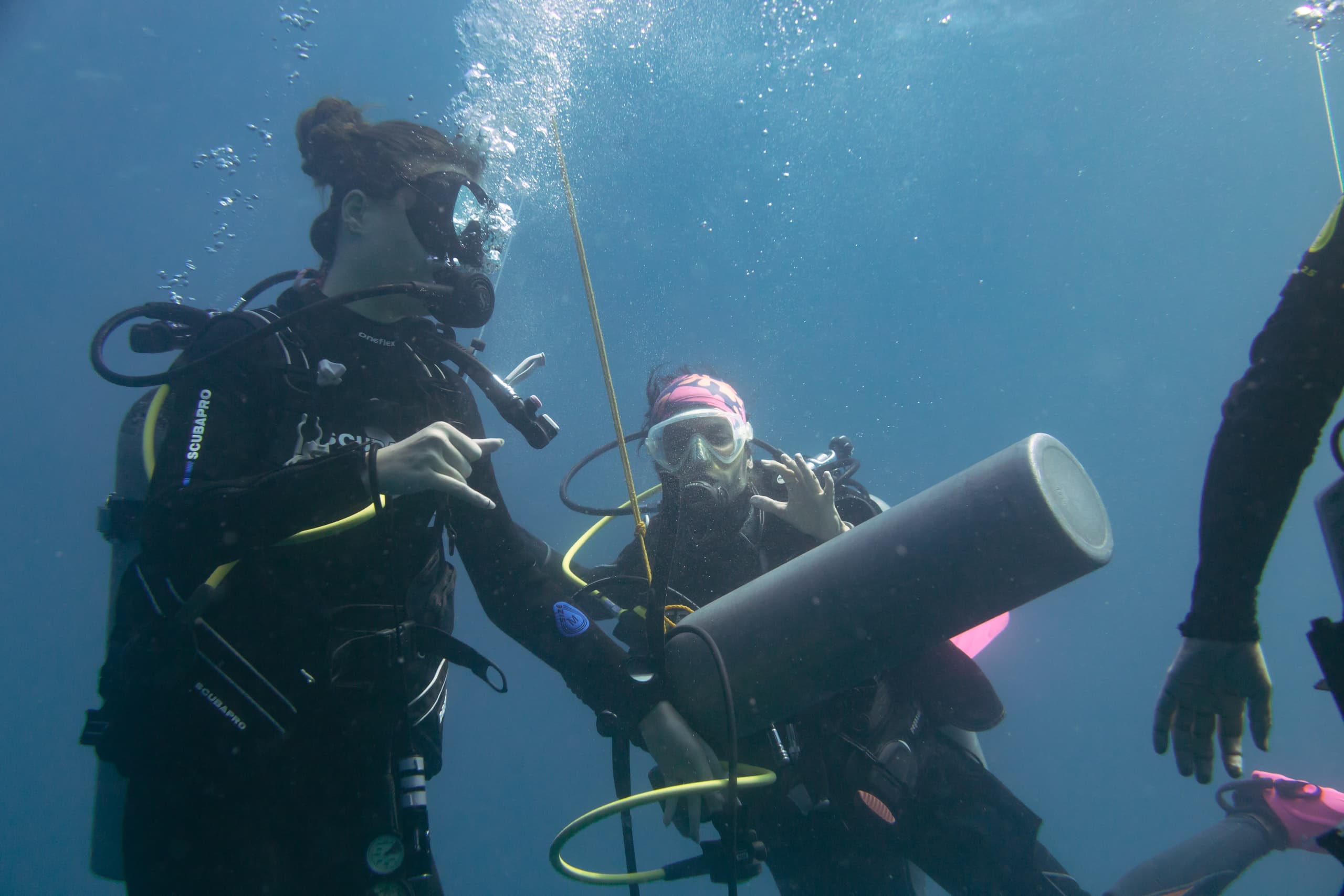 Become a PADI Divemaster in Cabo San Lucas: 3-Week Internship with Nautilus Dive Tech
