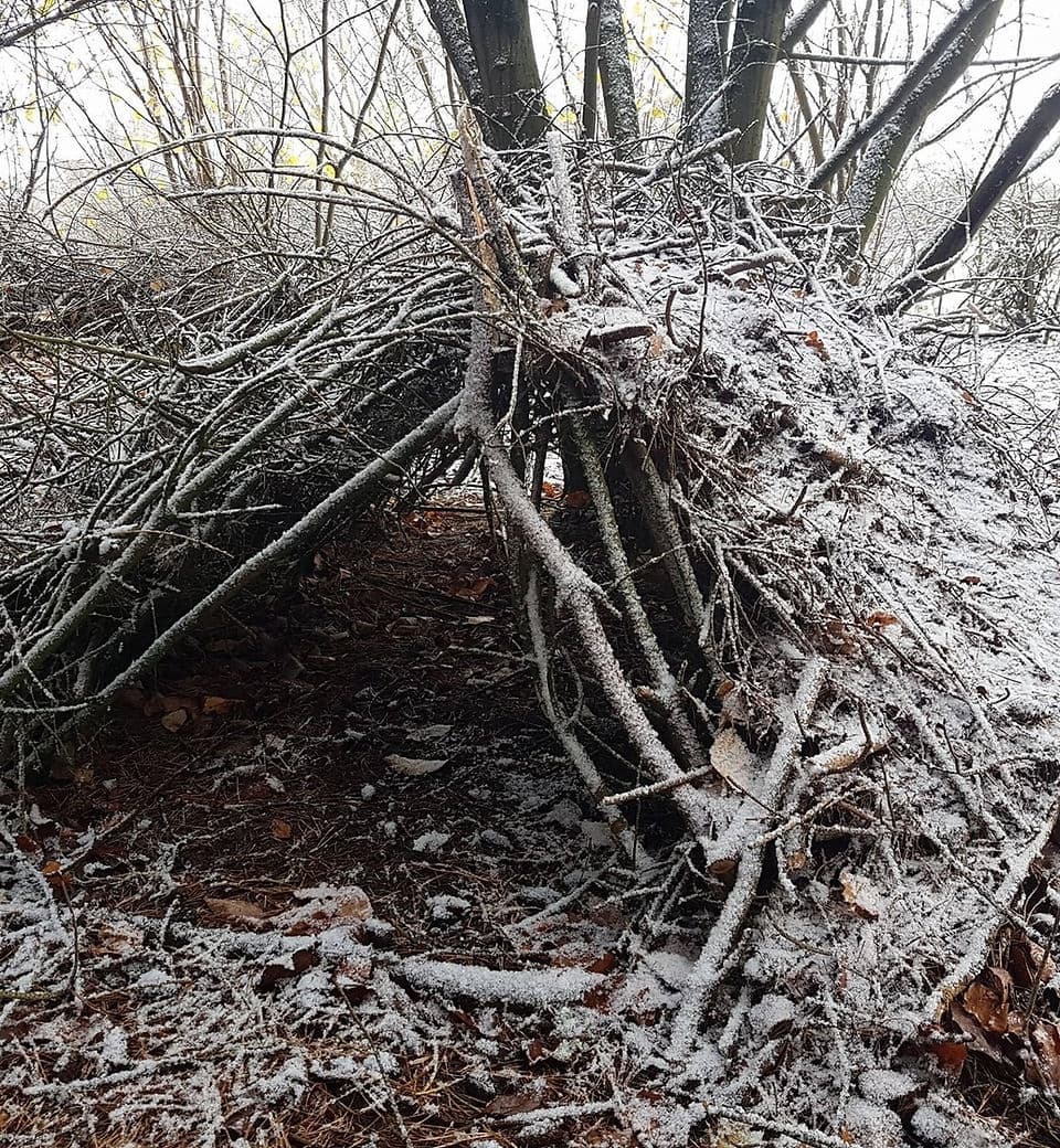 Survival Adventure at Back 2 Bear Outdoor Activities