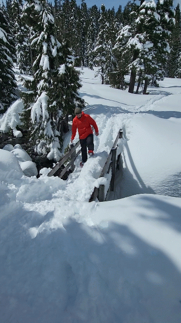 Snowshoeing Tours in Comox-Strathcona, BC