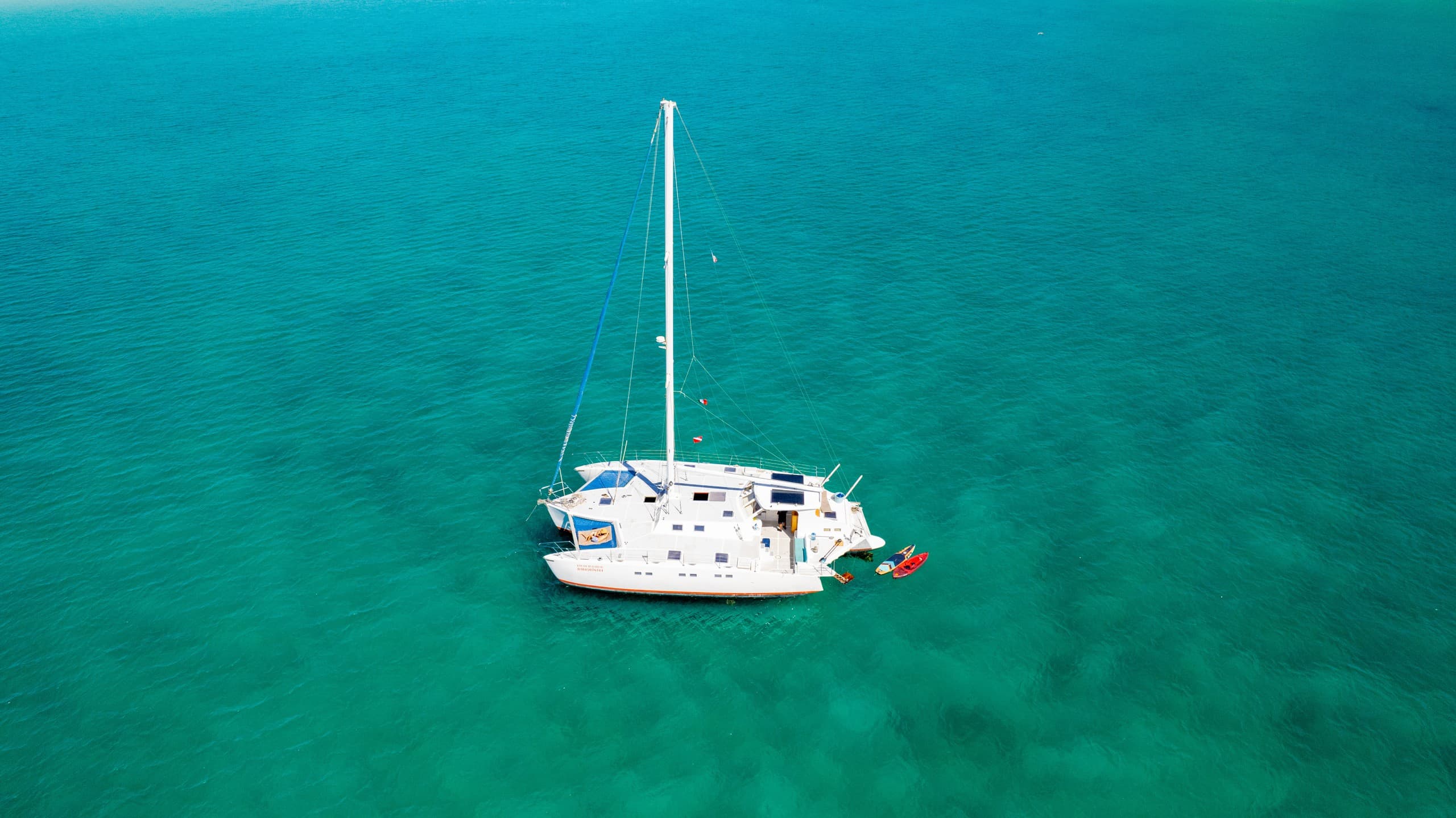 Stability and Sea Lions: 60' Trimaran Sailing Tours from La Paz photo 1