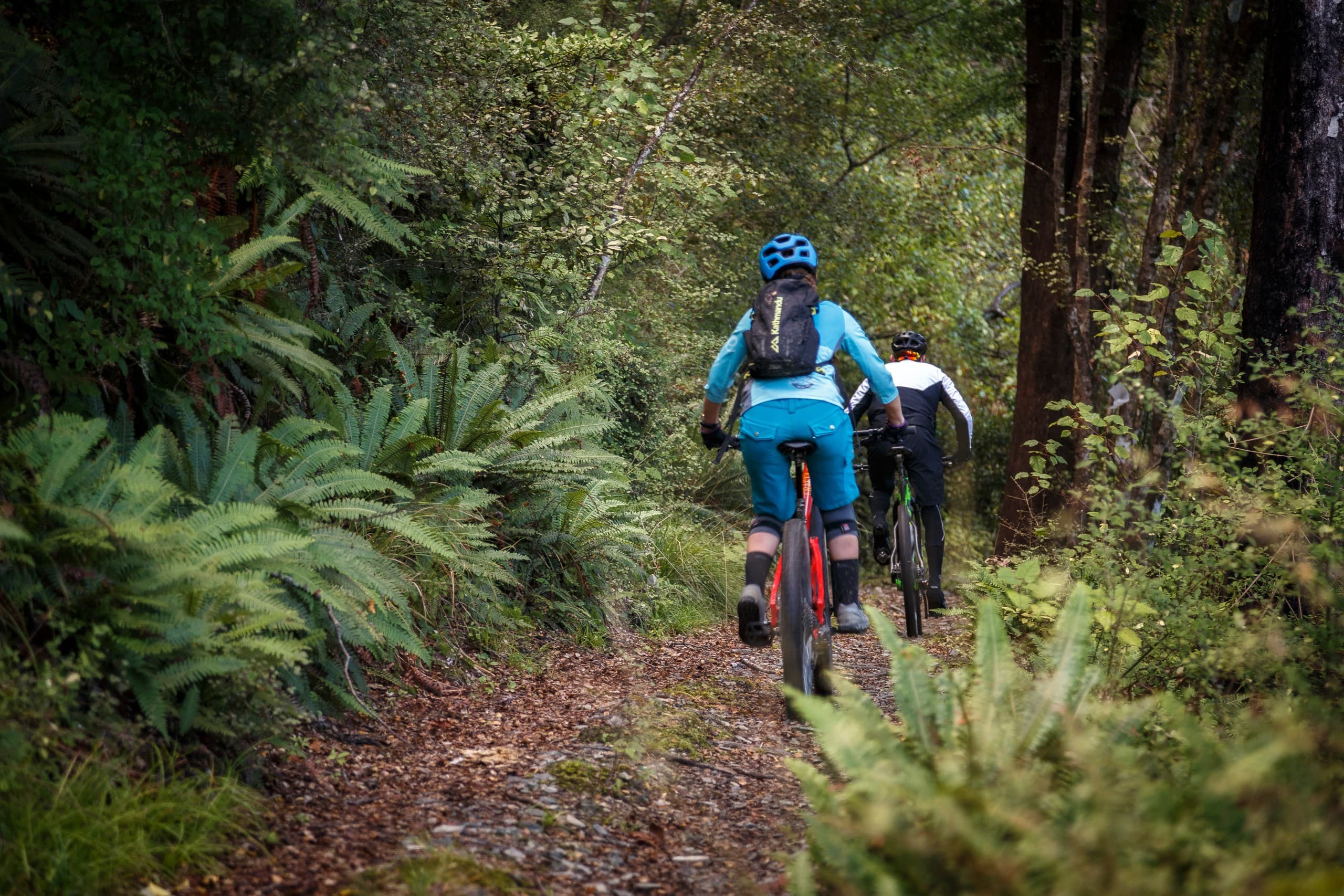 Coppermine Trail Ride: 17km Grade 4 Descent Through Beech Forest in Nelson photo 1
