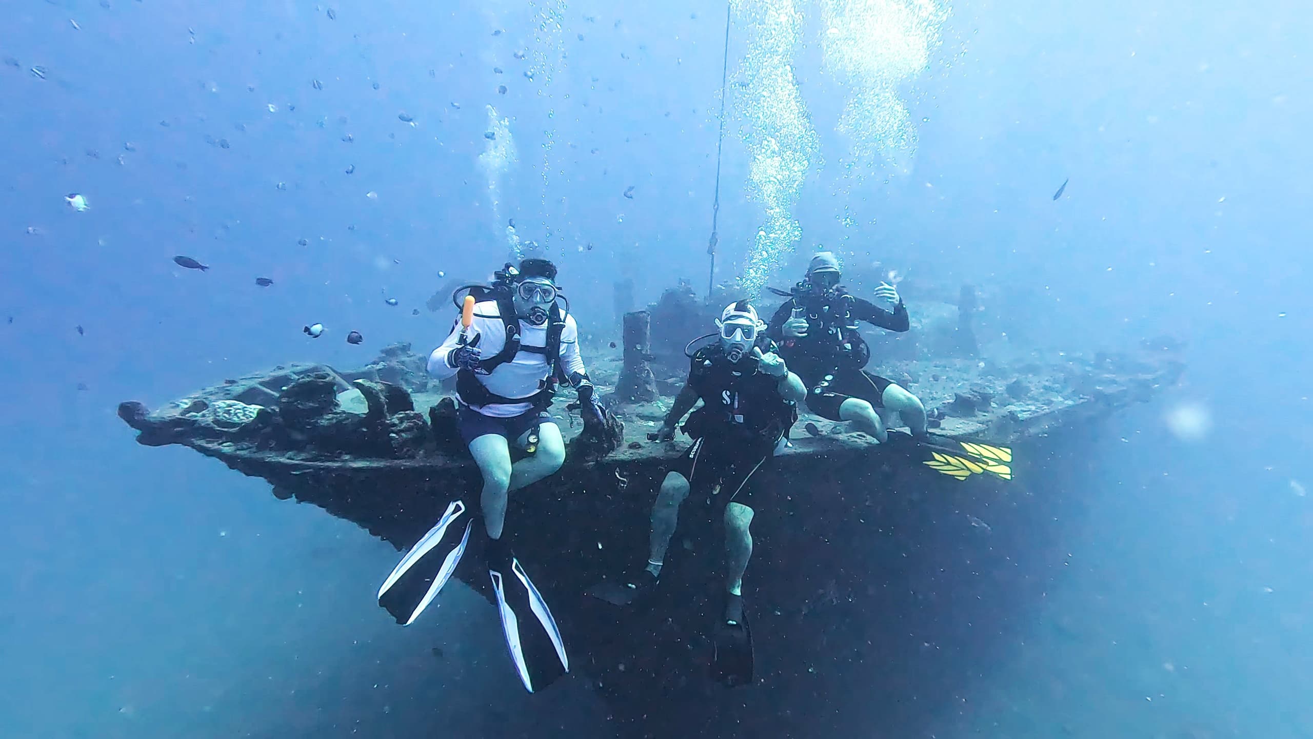 Dusk and Deep: Sea Tiger Double-Dip & Night Reef Dive in Honolulu photo 1